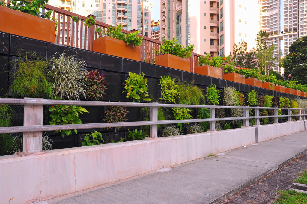 Alexandra canal linear park -VMG - 03