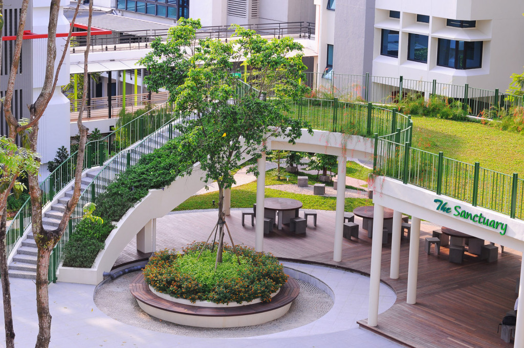 Extensive green roof - The Sanctuary02