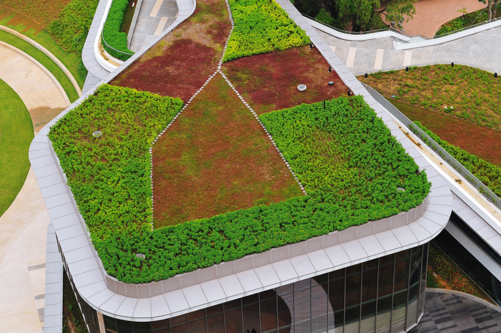 Green roof - elmich - nus utown02