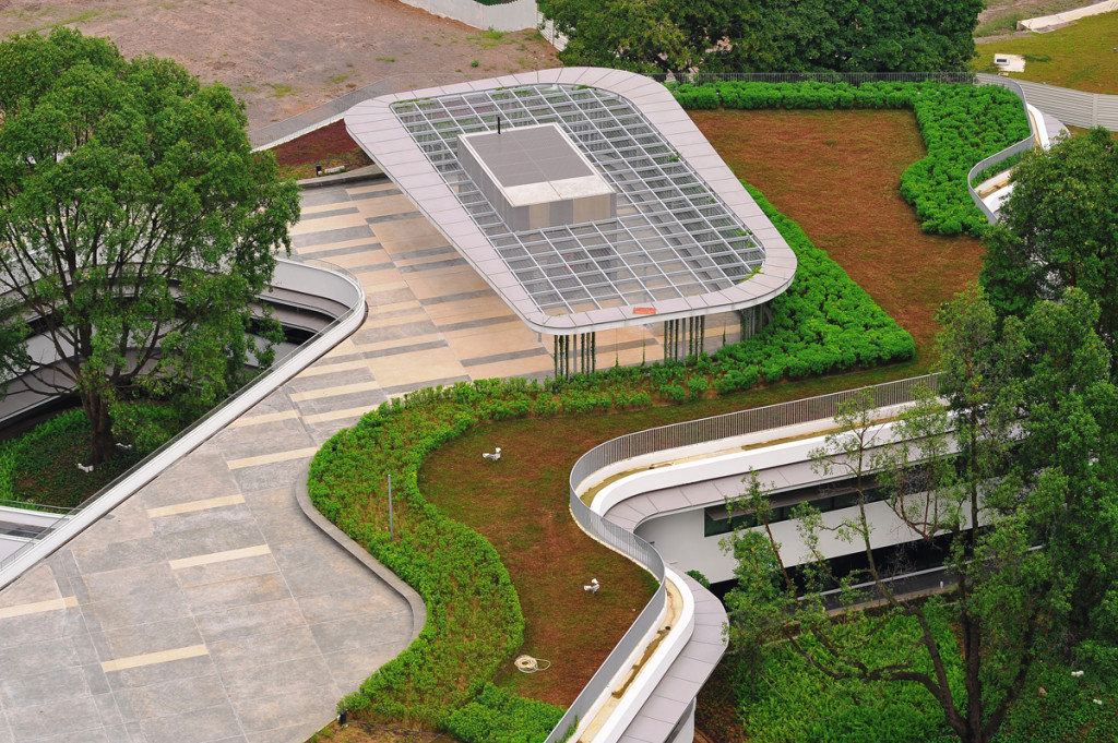 Green roof - elmich - nus utown03