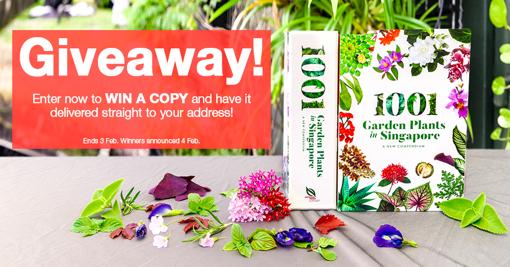 Giveaway Graphic - Elmich Pte Ltd