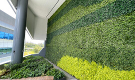 Massive Green Wall Singapore - Elmich