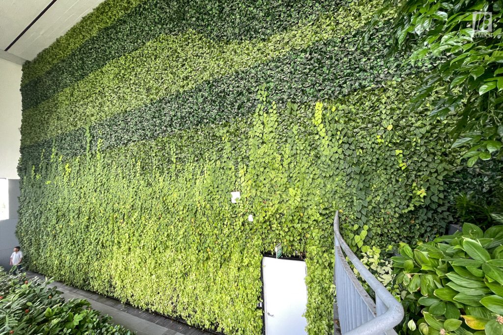 Design-Implement-Maintain Green Wall Systems | Elmich Supports CUGE