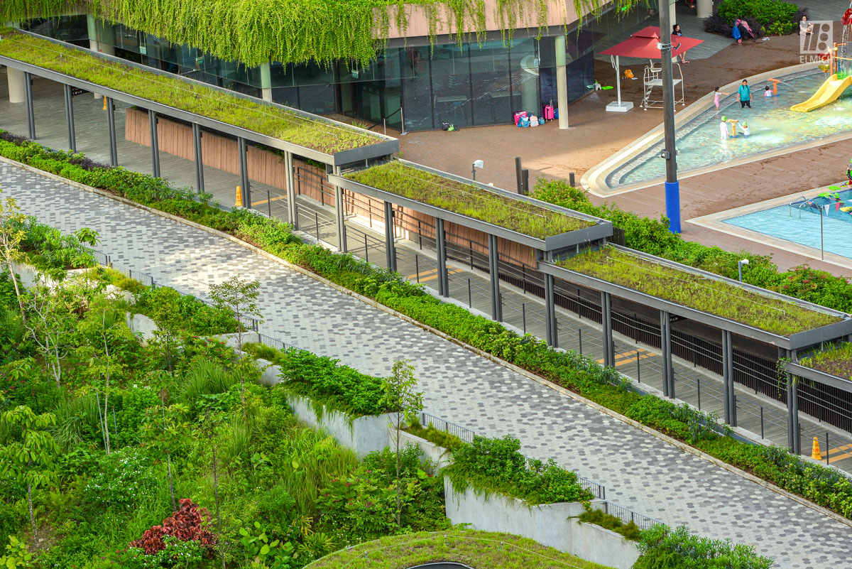 Extensive Green Roof on Walkways - Bukit Canberra - Green Building