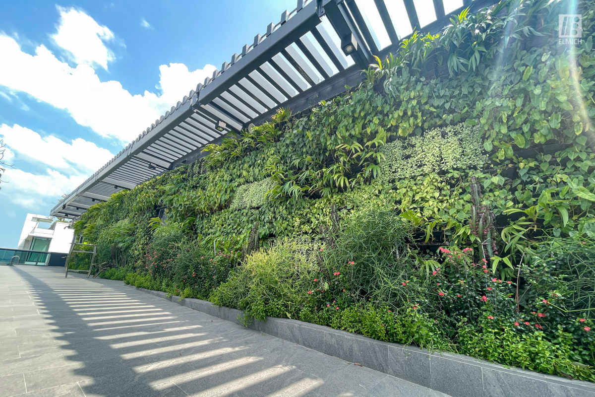 Instagrammable Green Walls