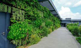 Green Wall - Rooftop Terraces