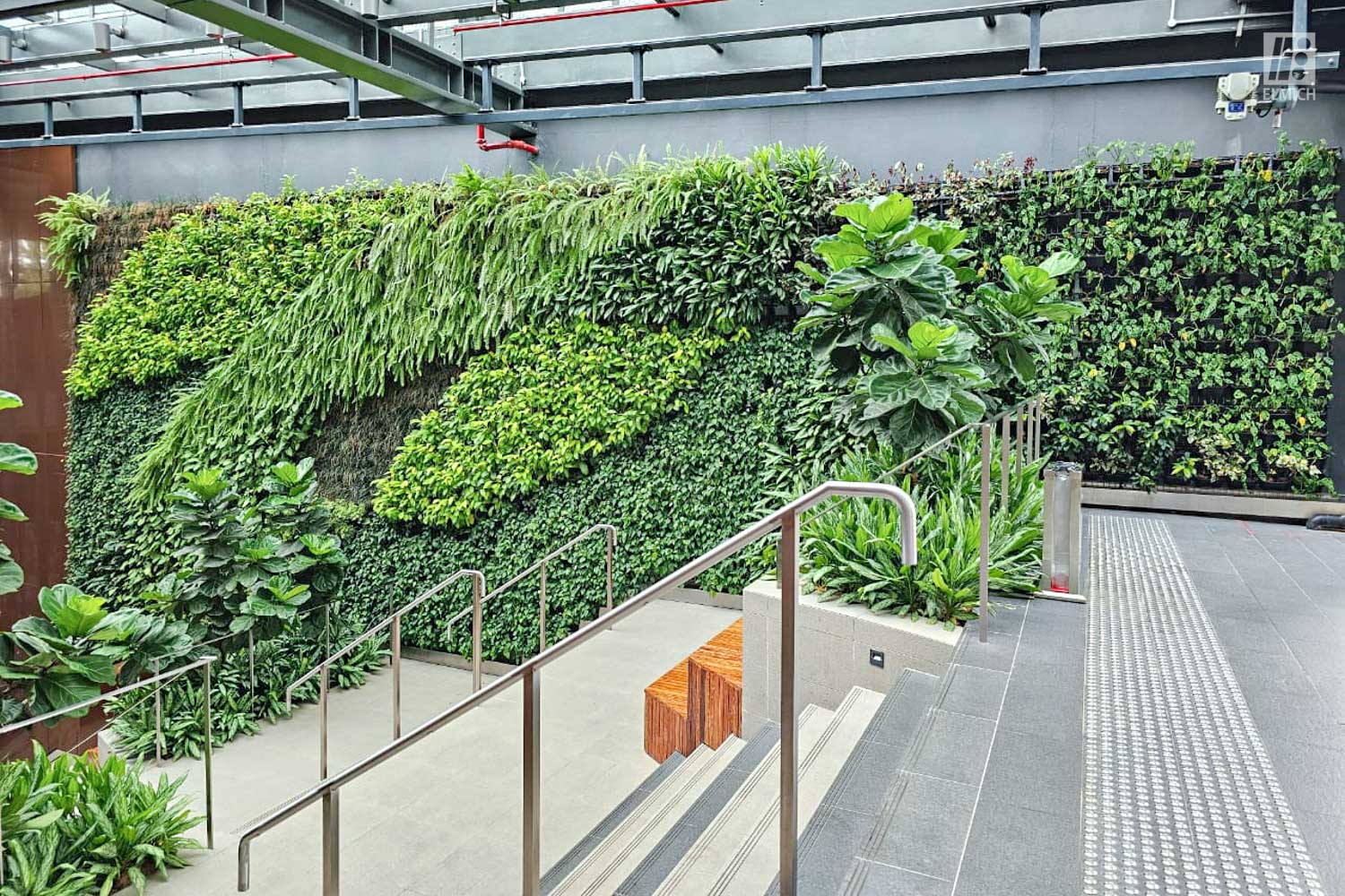 Green Wall beside Staircase