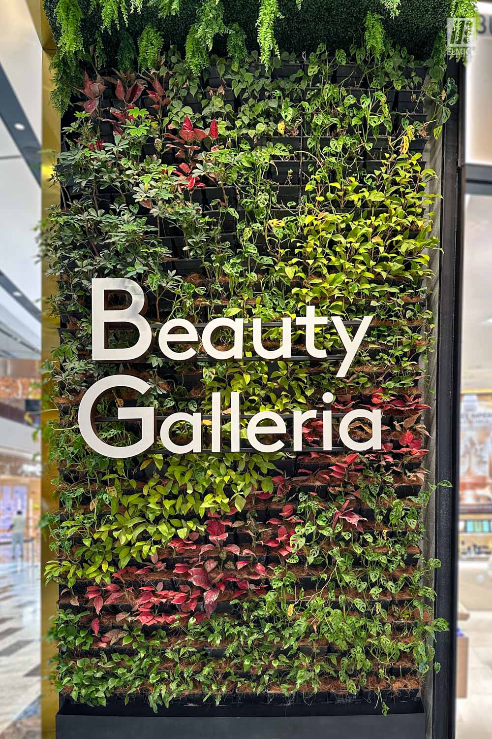 Retail Storefront Green Wall