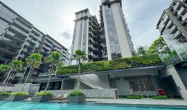 Green Wall - Forett at Bukit Timah Condominium - Swimming Pool