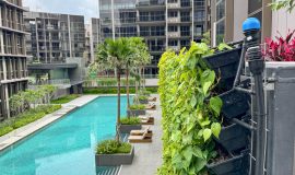 Green Wall - Forett at Bukit Timah Condominium - Swimming Pool