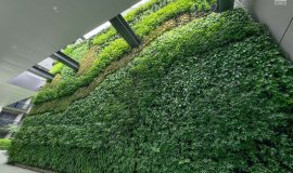 Green Wall - Forett at Bukit Timah Condominium - Next to Guardhouse/Roundabout Drop-off Point