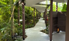 Green Roof System on Linked Walkways outside Hotel Rooms