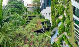 Green Roof System on Linked Walkways outside Hotel Rooms