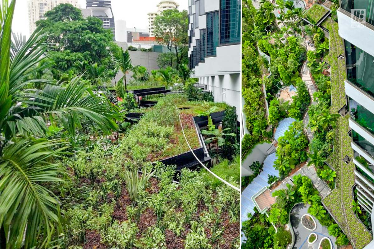 Green Roof Walkways | Outdoor | Hotel Rooms