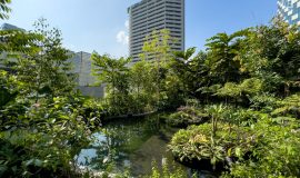 Drainage Cells | Sub-Surface Drainage | Wellness Garden Pond | Hotel