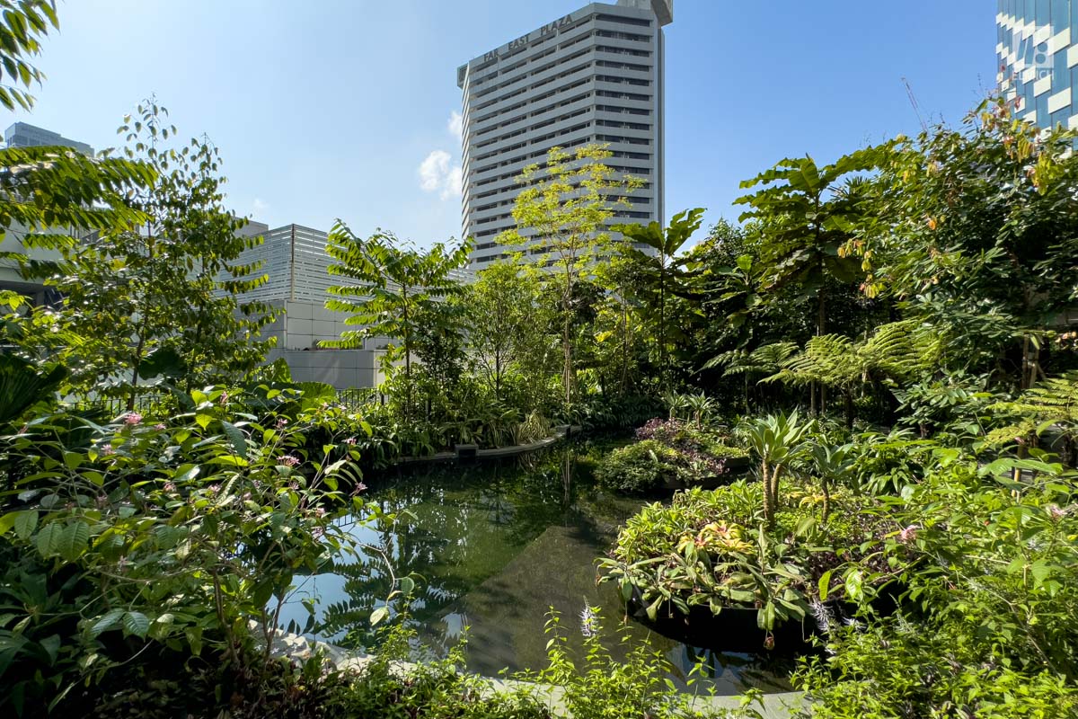 Drainage Cells | Sub-Surface Drainage | Wellness Garden Pond | Hotel