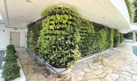 Green Wall Facade - Hotel Resort