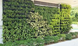 Green Wall Facade - Hotel Resort