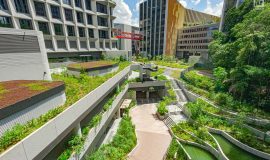 Punggol Digital District | SIT Punggol | Sky & Roof Gardens | Rain Gardens | Fire Engine Accessway