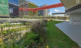 Punggol Digital District | SIT Punggol | Sky & Roof Gardens | Rain Gardens | Fire Engine Accessway