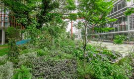 Punggol Digital District | SIT Punggol | Sky & Roof Gardens | Rain Gardens | Fire Engine Accessway