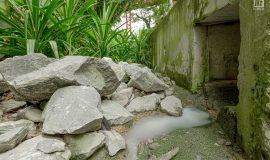 Punggol Digital District | SIT Punggol | Sky & Roof Gardens | Rain Gardens | Fire Engine Accessway