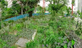 Punggol Digital District | SIT Punggol | Sky & Roof Gardens | Rain Gardens | Fire Engine Accessway