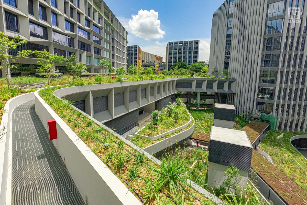 Punggol Digital District | SIT Punggol | Sky & Roof Gardens | Rain Gardens | Fire Engine Accessway