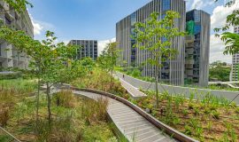 Punggol Digital District | SIT Punggol | Sky & Roof Gardens | Rain Gardens | Fire Engine Accessway
