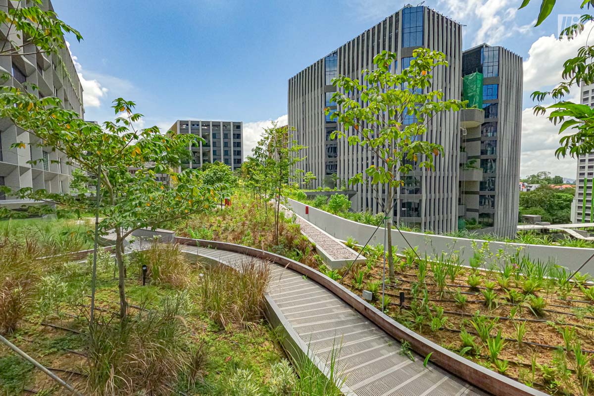Punggol Digital District | SIT Punggol | Sky & Roof Gardens | Rain Gardens | Fire Engine Accessway