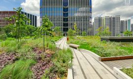 Punggol Digital District | SIT Punggol | Sky & Roof Gardens | Rain Gardens | Fire Engine Accessway