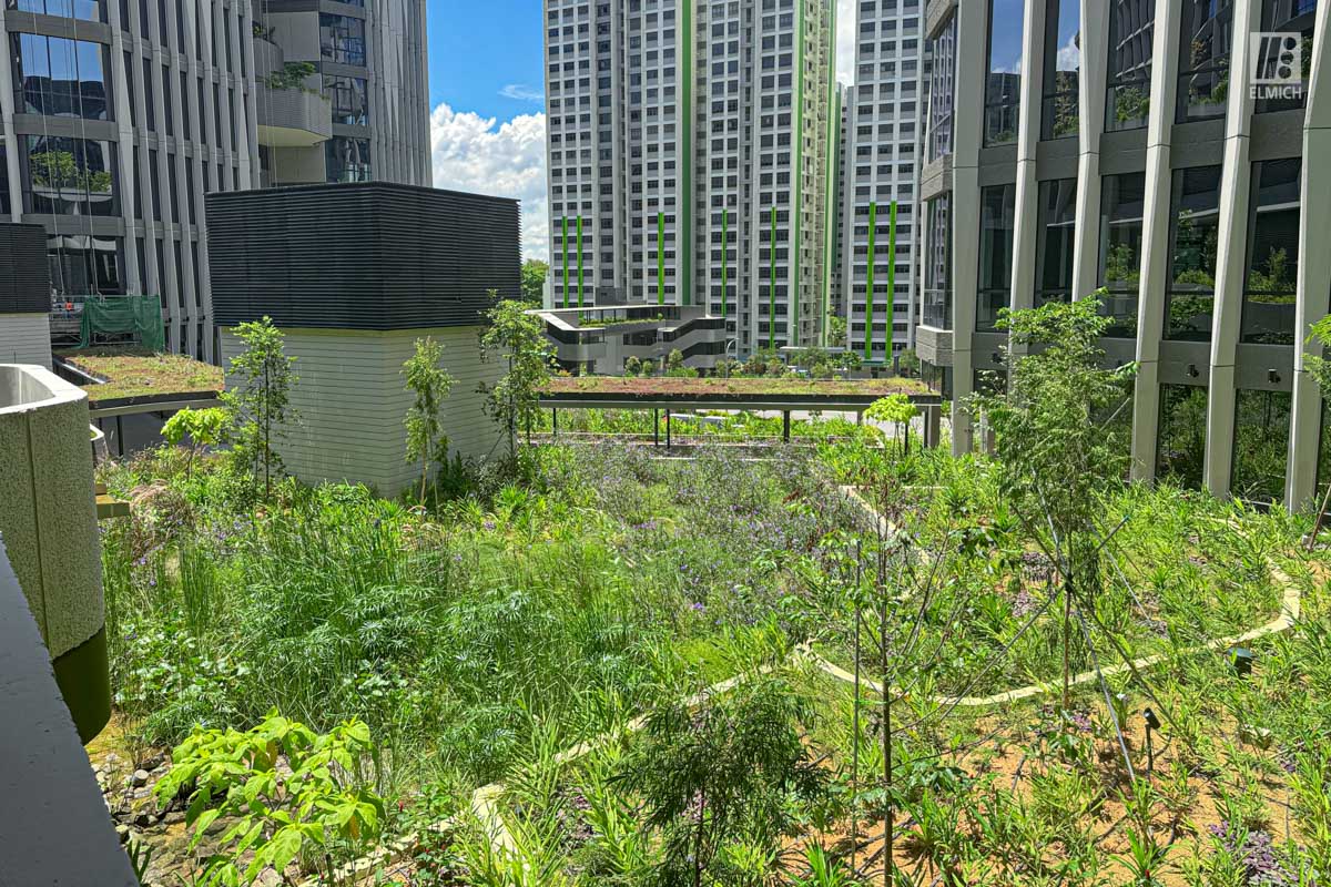 Punggol Digital District | SIT Punggol | Sky & Roof Gardens | Rain Gardens | Fire Engine Accessway