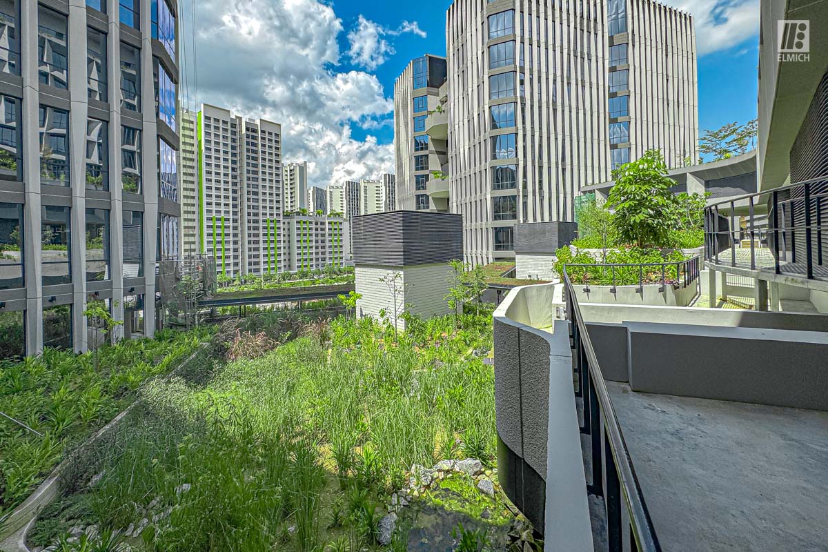 Punggol Digital District | SIT Punggol | Sky & Roof Gardens | Rain Gardens | Fire Engine Accessway