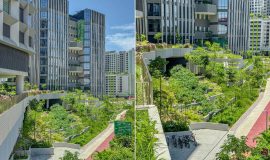 Punggol Digital District | SIT Punggol | Sky & Roof Gardens | Rain Gardens | Fire Engine Accessway