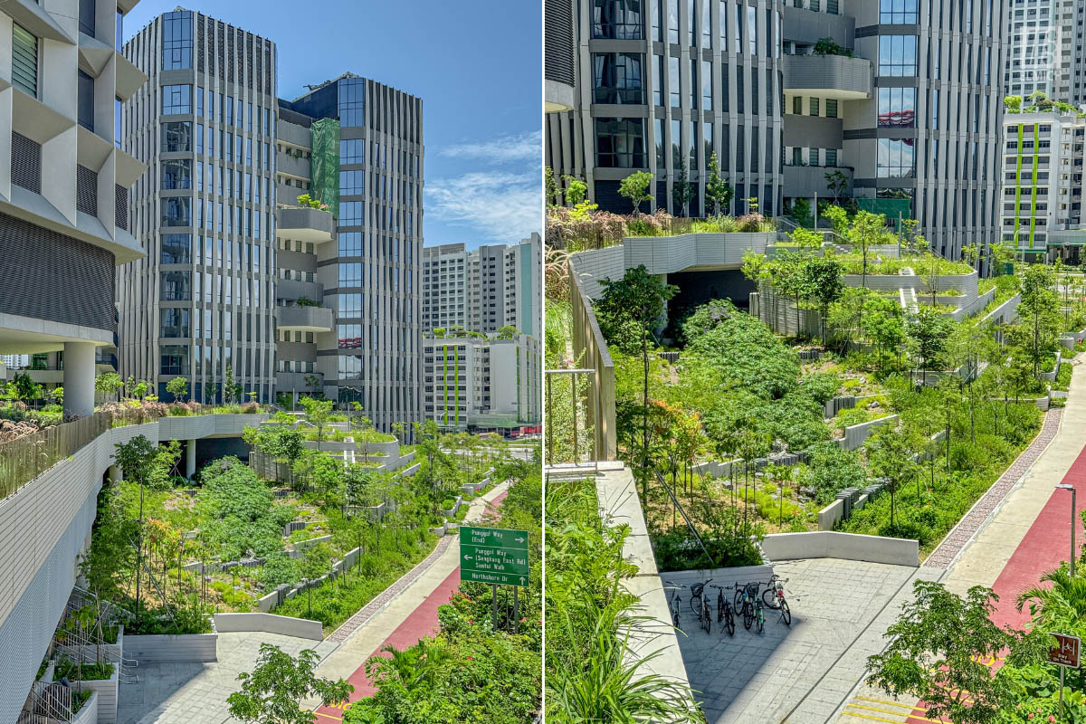 Punggol Digital District | SIT Punggol | Sky & Roof Gardens | Rain Gardens | Fire Engine Accessway