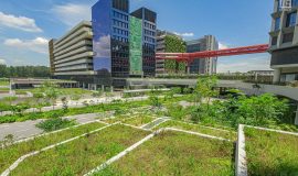 Punggol Digital District | SIT Punggol | Sky & Roof Gardens | Rain Gardens | Fire Engine Accessway