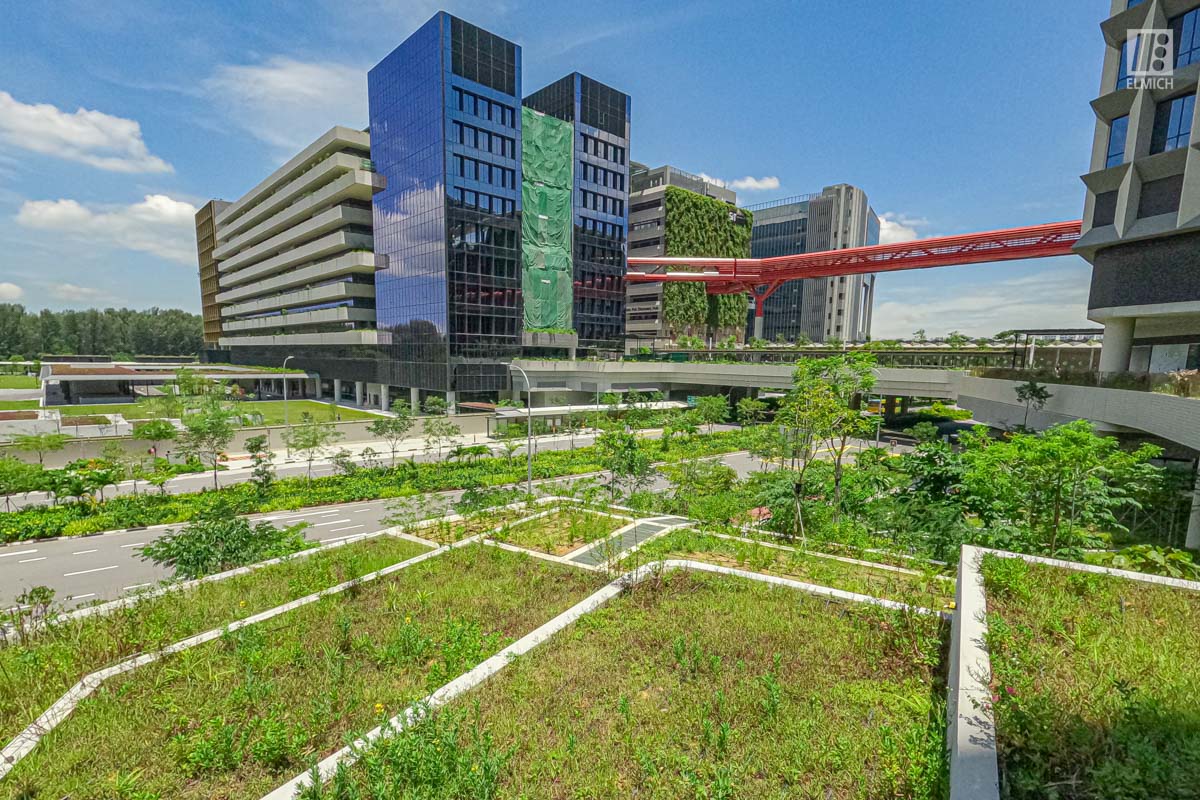 Punggol Digital District | SIT Punggol | Sky & Roof Gardens | Rain Gardens | Fire Engine Accessway