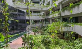 Punggol Digital District | SIT Punggol | Sky & Roof Gardens | Rain Gardens | Fire Engine Accessway