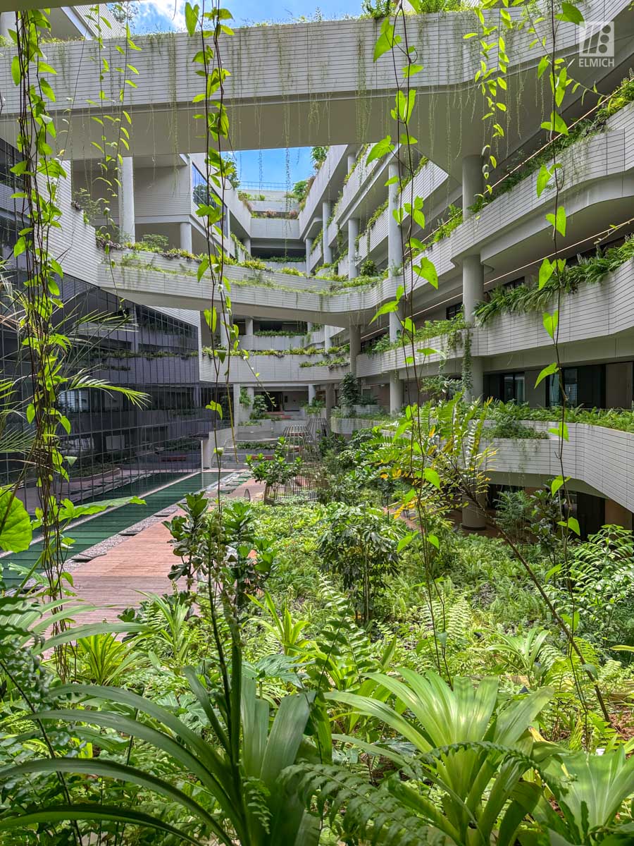 Punggol Digital District | SIT Punggol | Sky & Roof Gardens | Rain Gardens | Fire Engine Accessway