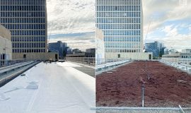 Rooftop Garden - Green Roof - Old Treasury Building - Melbourne