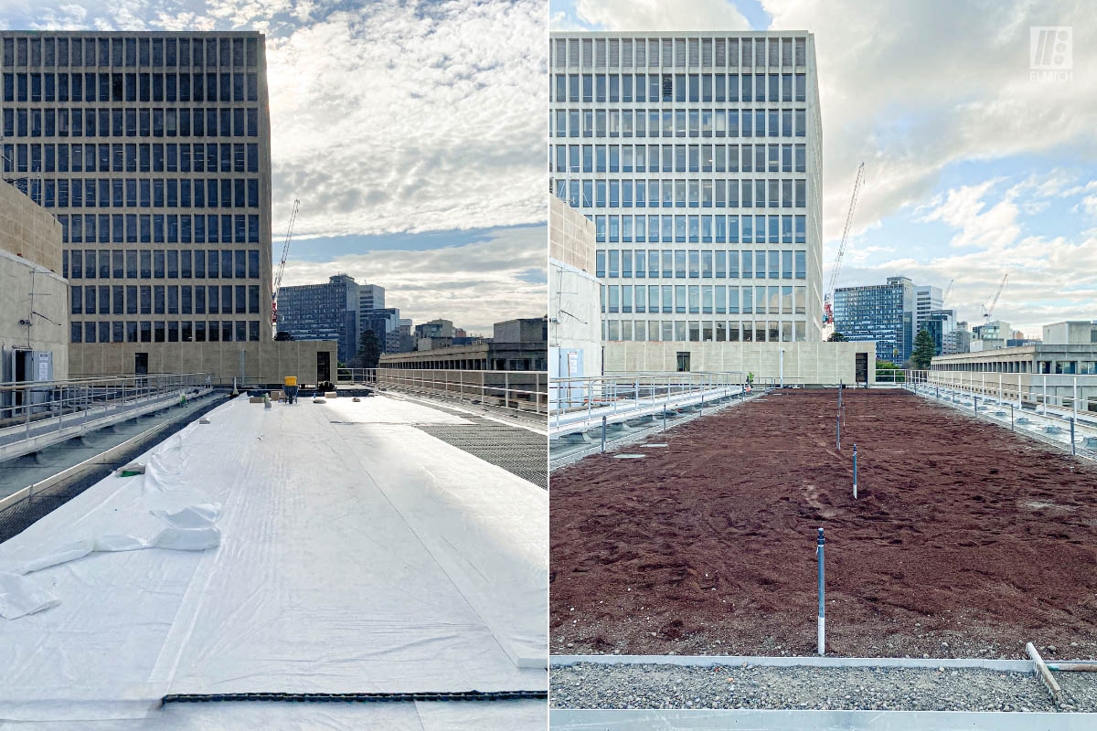 Rooftop Garden - Green Roof - Old Treasury Building - Melbourne