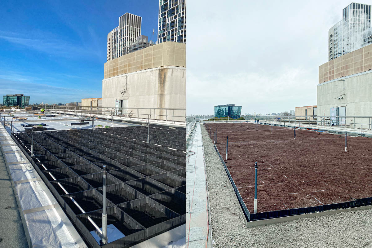 Rooftop Garden - Green Roof - Old Treasury Building - Melbourne