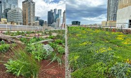 Rooftop Garden - Green Roof - Old Treasury Building - Melbourne
