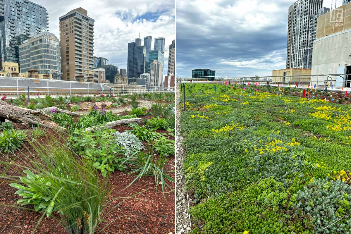 Rooftop Garden - Green Roof - Old Treasury Building - Melbourne
