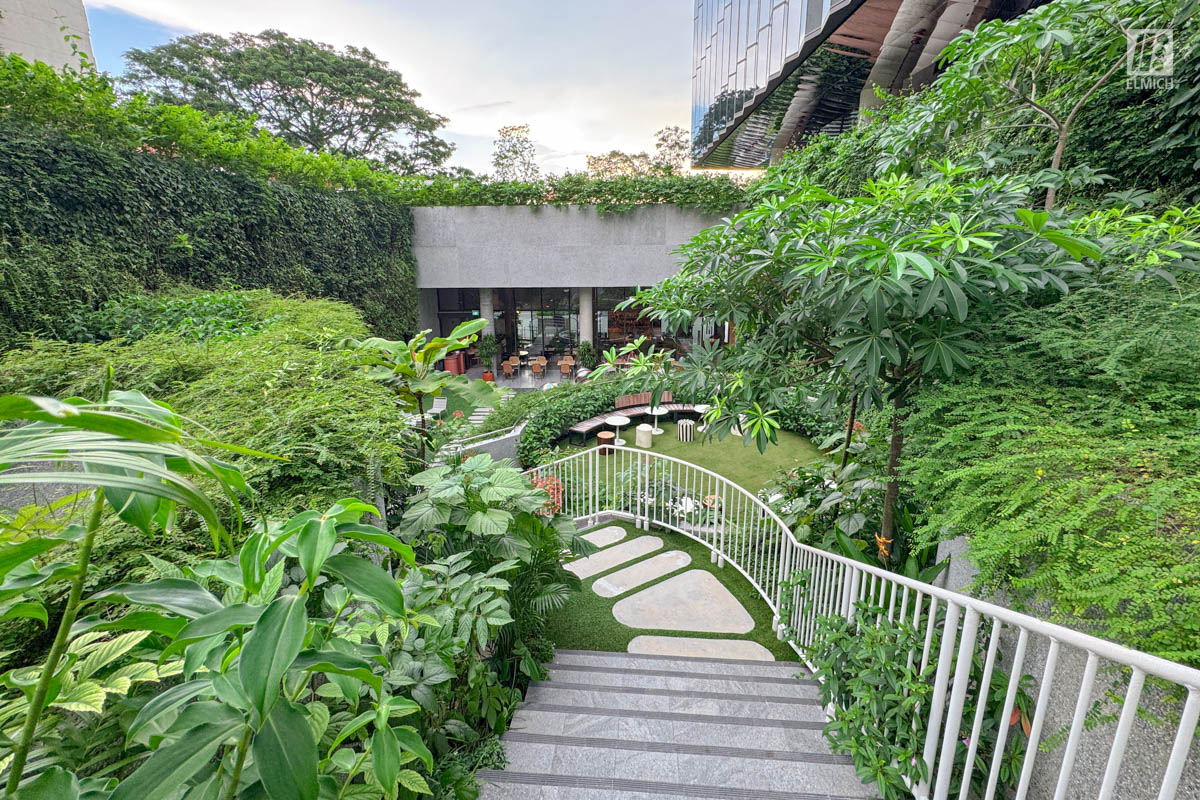 Massive Green Walls